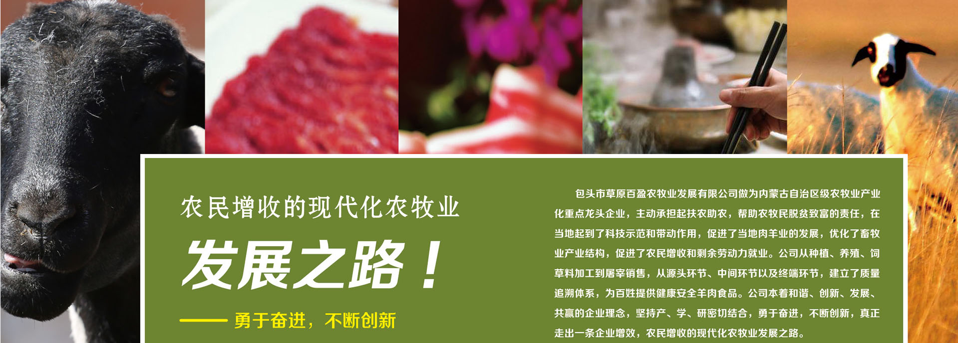 鲍勃体育安卓版