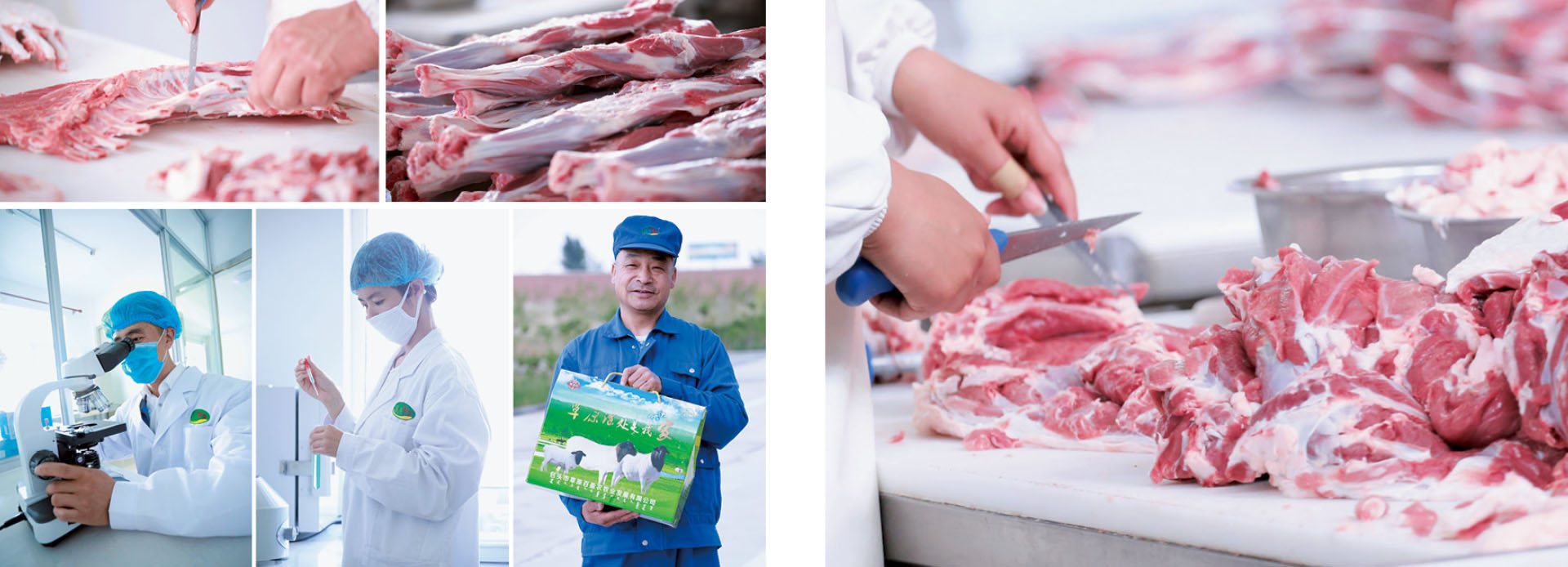 鲍勃体育安卓版